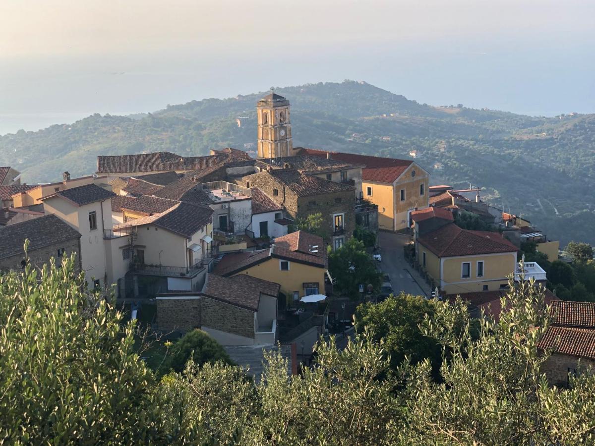 Sdraiati Pollica - Apartments - Bed & Breakfast Esterno foto
