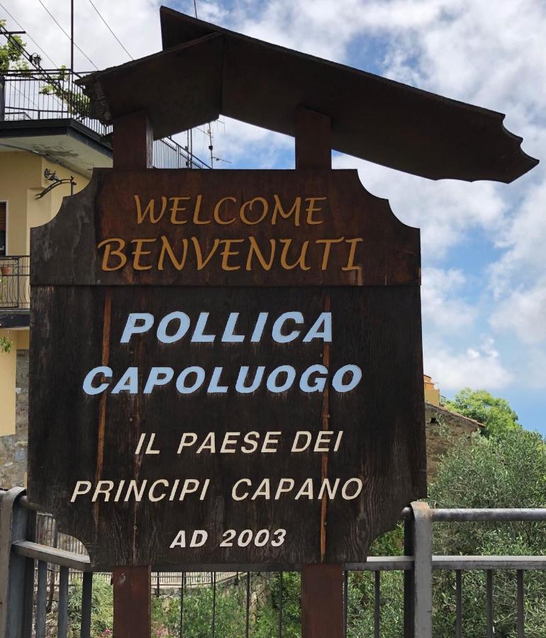 Sdraiati Pollica - Apartments - Bed & Breakfast Esterno foto